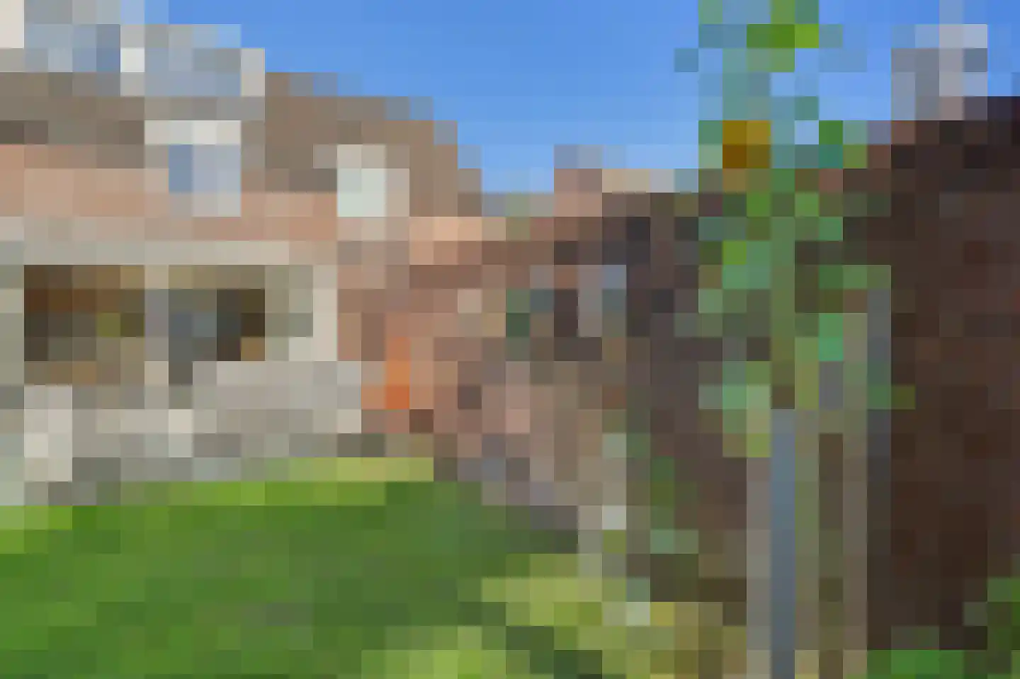 Horst 10 Chaam thumbnail 62