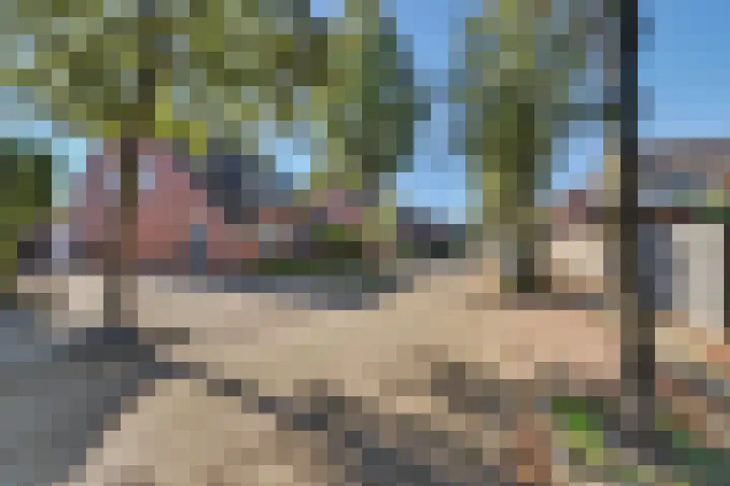 Horst 10 Chaam thumbnail 69