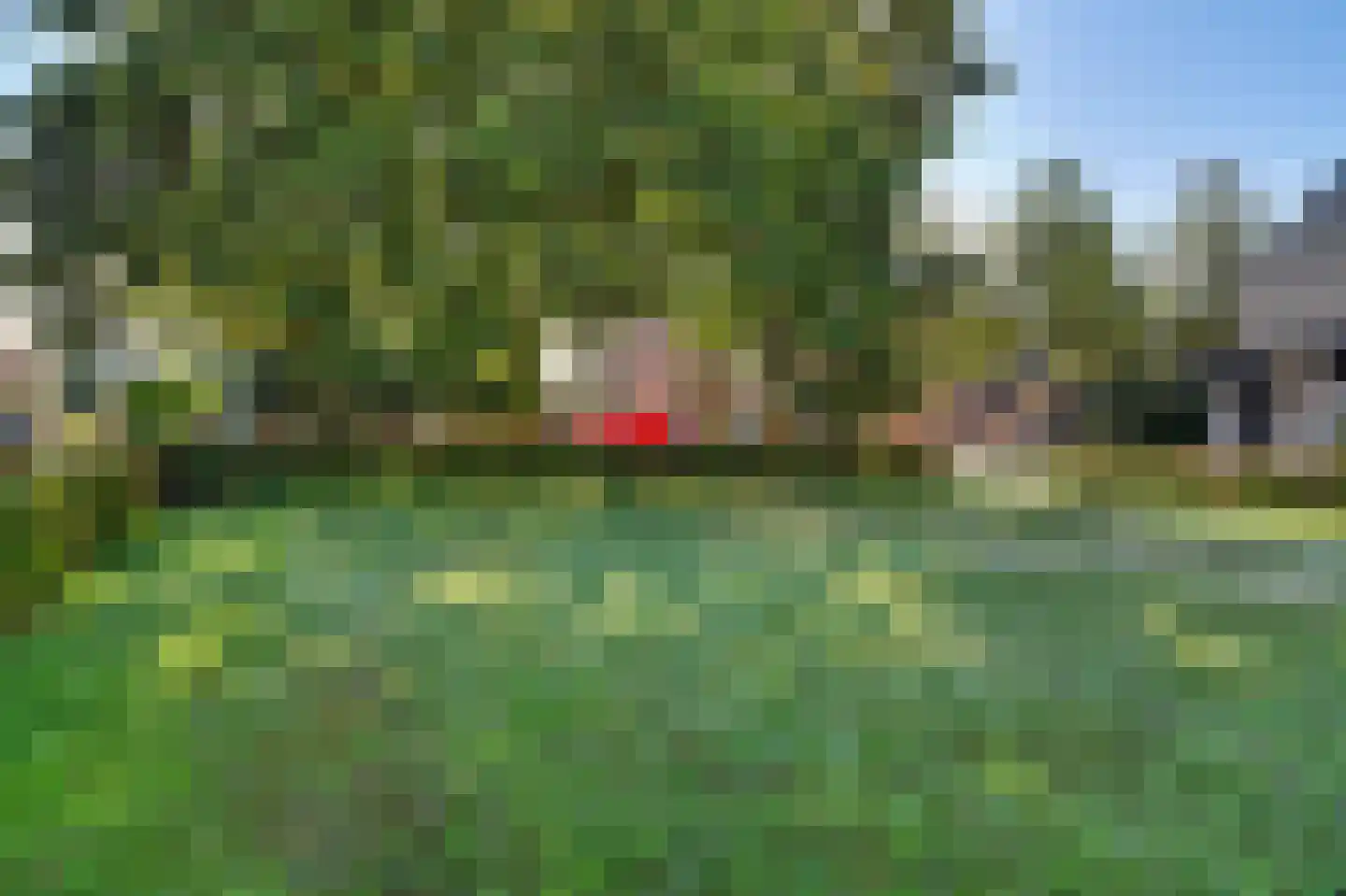 Horst 10 Chaam thumbnail 72
