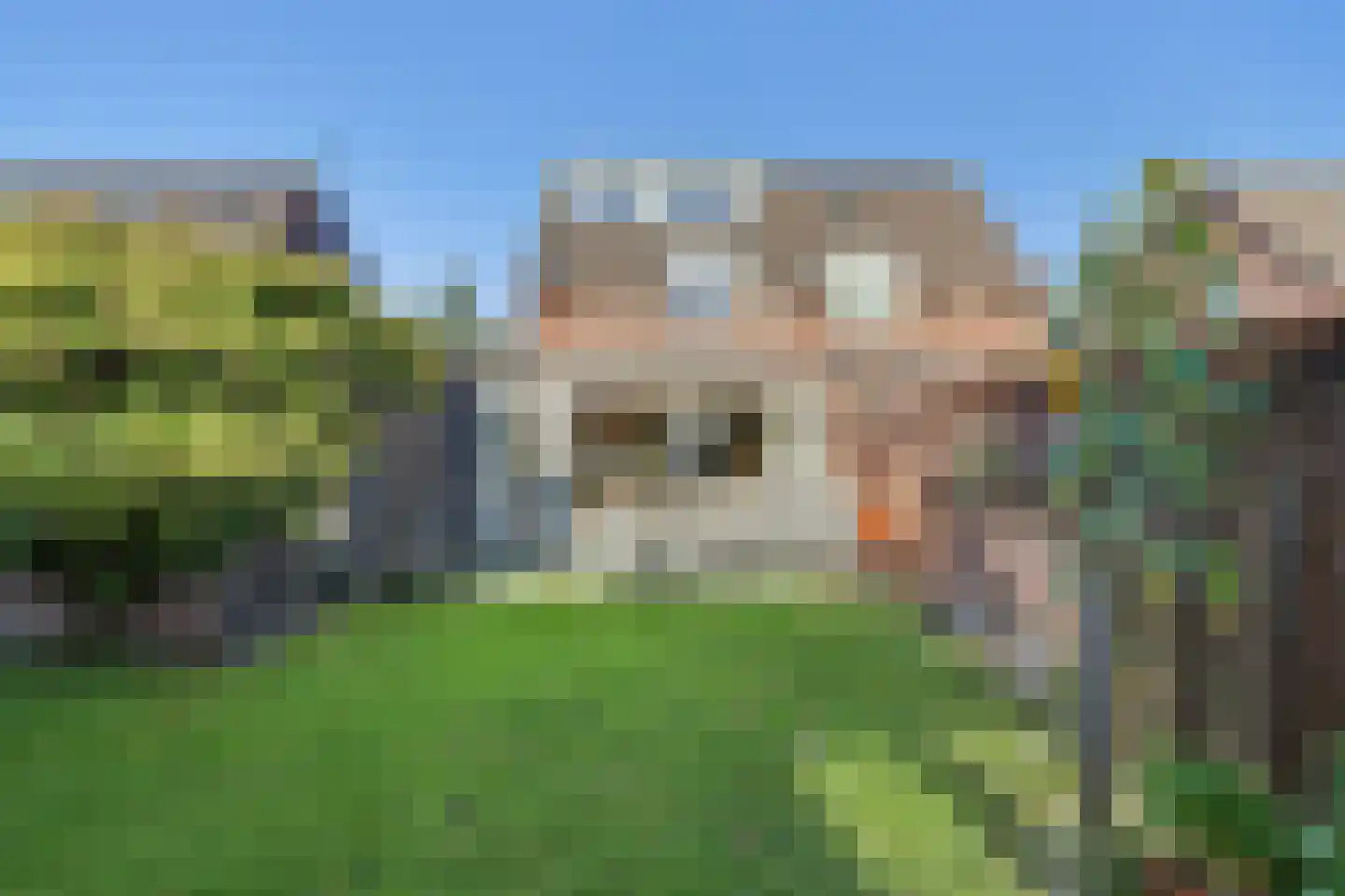 Horst 10 Chaam thumbnail 8