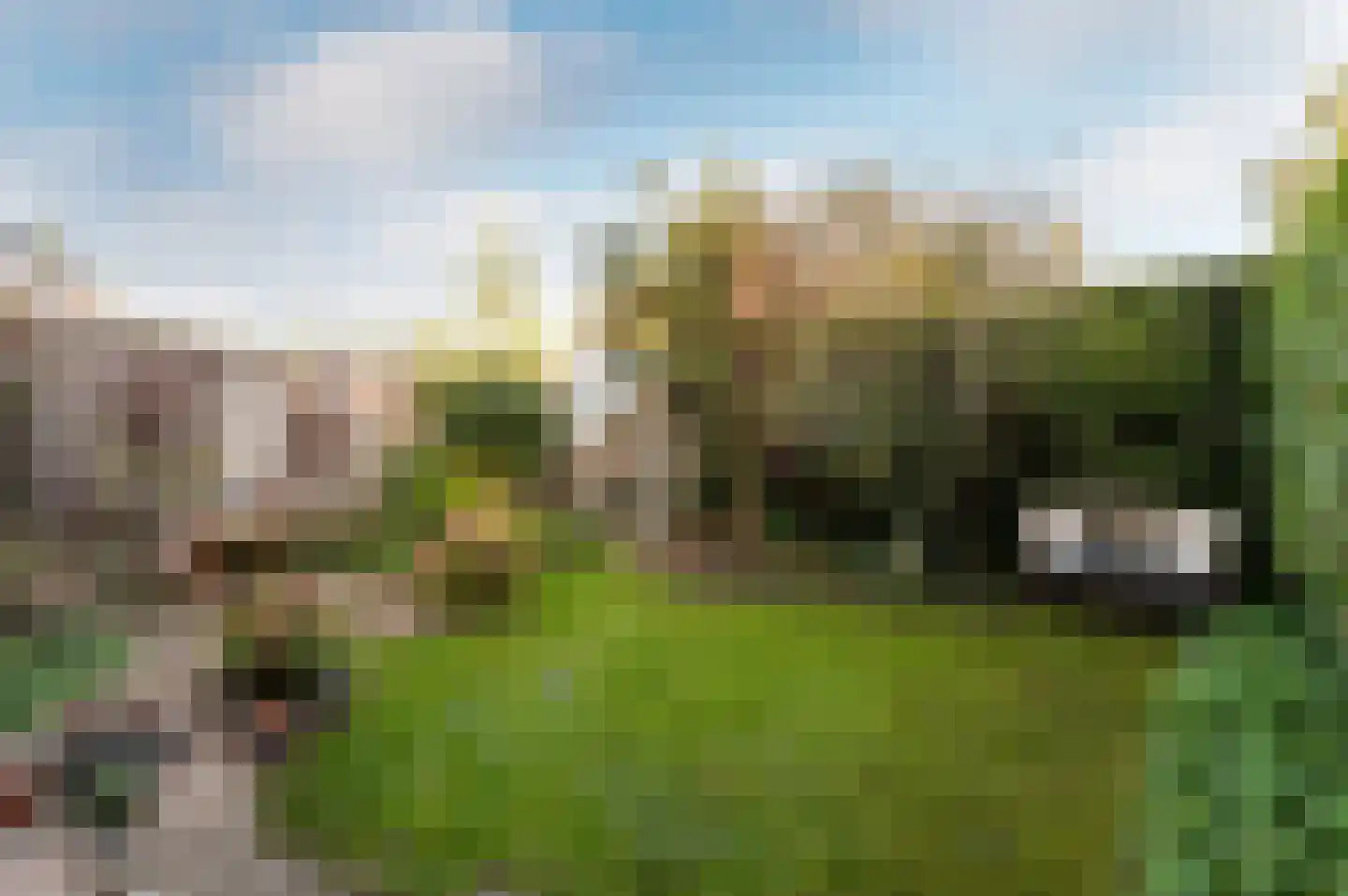 Horst 12 17 Lelystad thumbnail 32