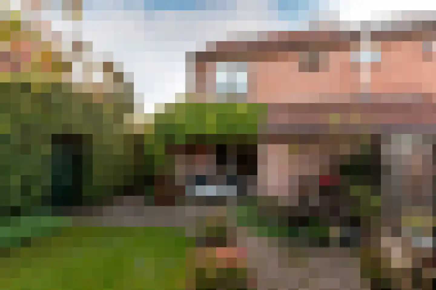 Horst 12 17 Lelystad thumbnail 34