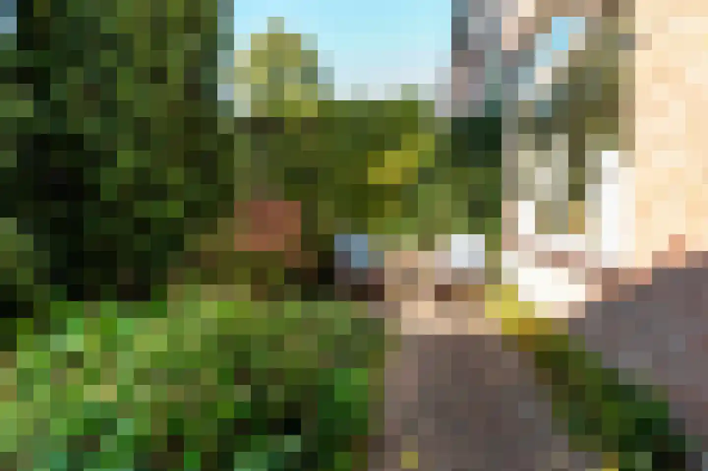 Horst 12 17 Lelystad thumbnail 36