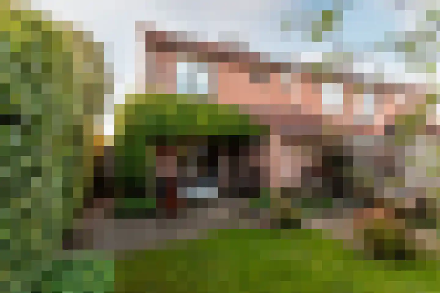 Horst 12 17 Lelystad thumbnail 4