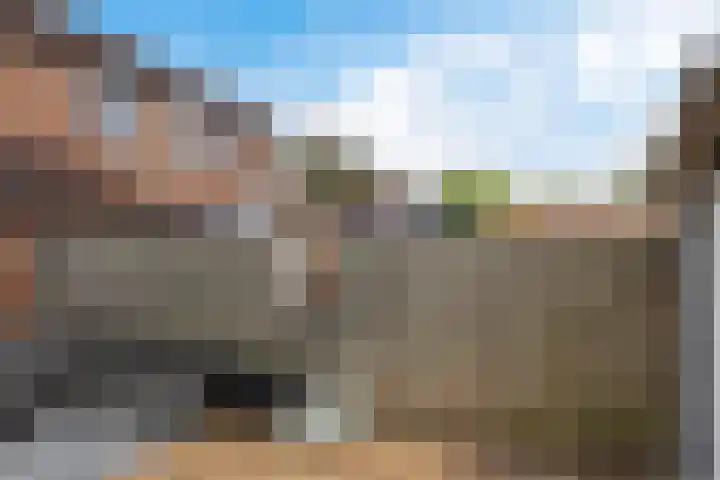 Horst 12 5 Lelystad thumbnail 31