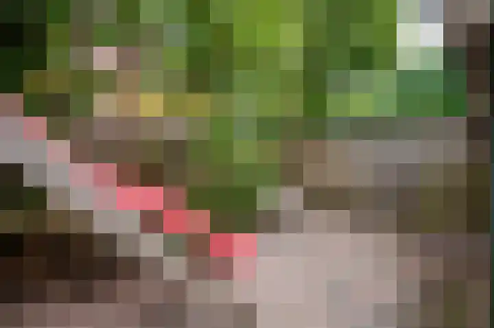 Horst 13 13 41 Lelystad thumbnail 30