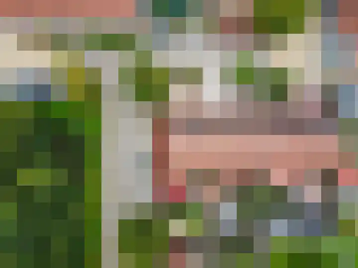 Horst 13 13 41 Lelystad thumbnail 36