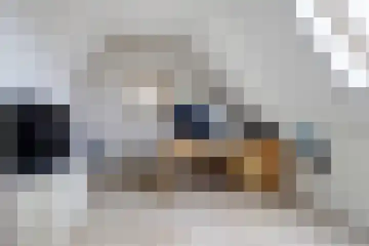 Horst 13 Hendrik-Ido-Ambacht thumbnail 21