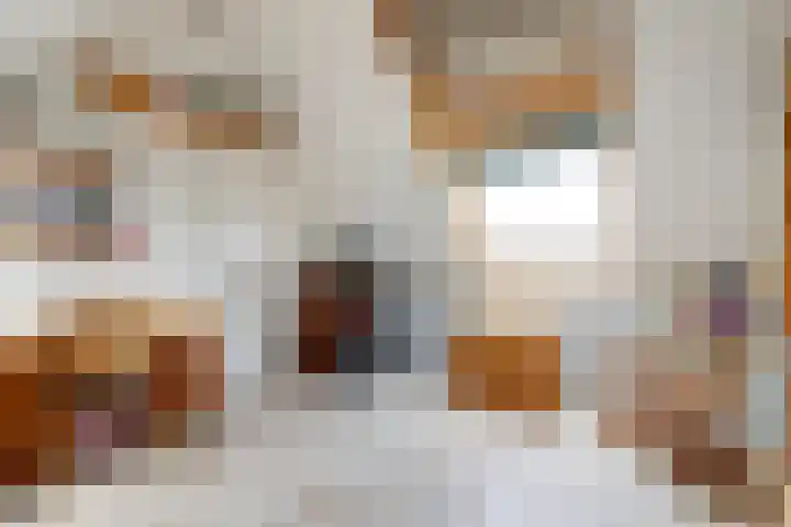 Horst 13 Hendrik-Ido-Ambacht thumbnail 27