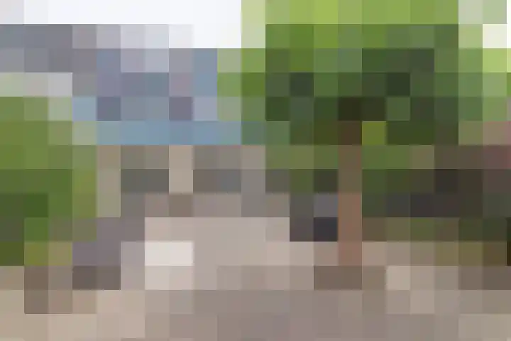 Horst 13 Hendrik-Ido-Ambacht thumbnail 28
