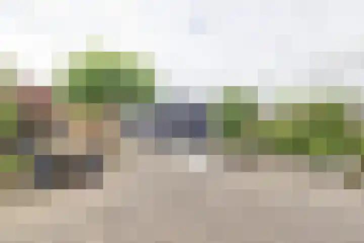 Horst 13 Hendrik-Ido-Ambacht thumbnail 29