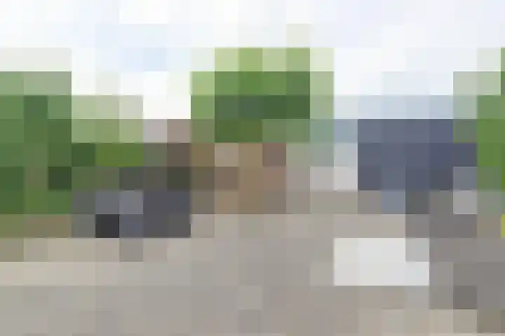 Horst 13 Hendrik-Ido-Ambacht thumbnail 30