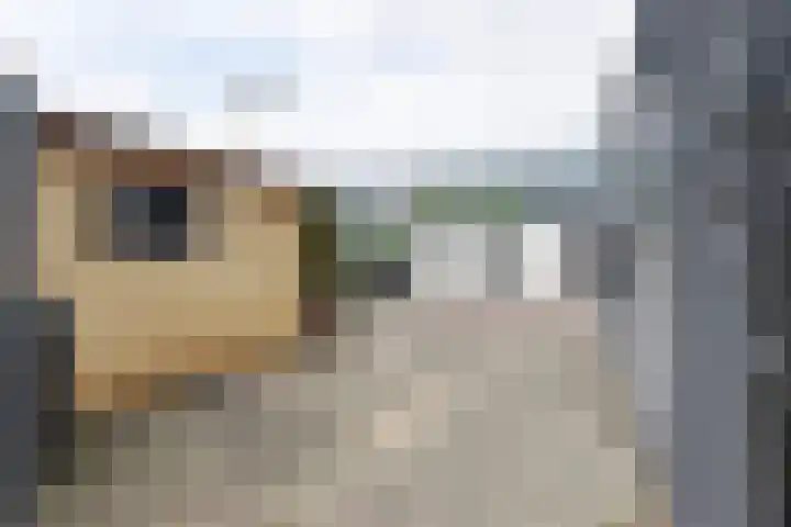 Horst 13 Hendrik-Ido-Ambacht thumbnail 31