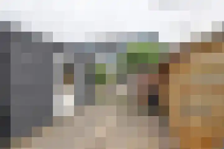Horst 13 Hendrik-Ido-Ambacht thumbnail 32