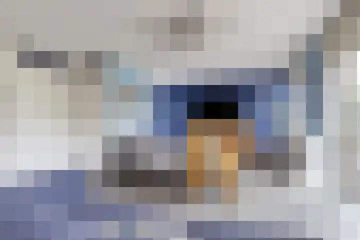Horst 13 Hendrik-Ido-Ambacht thumbnail 8