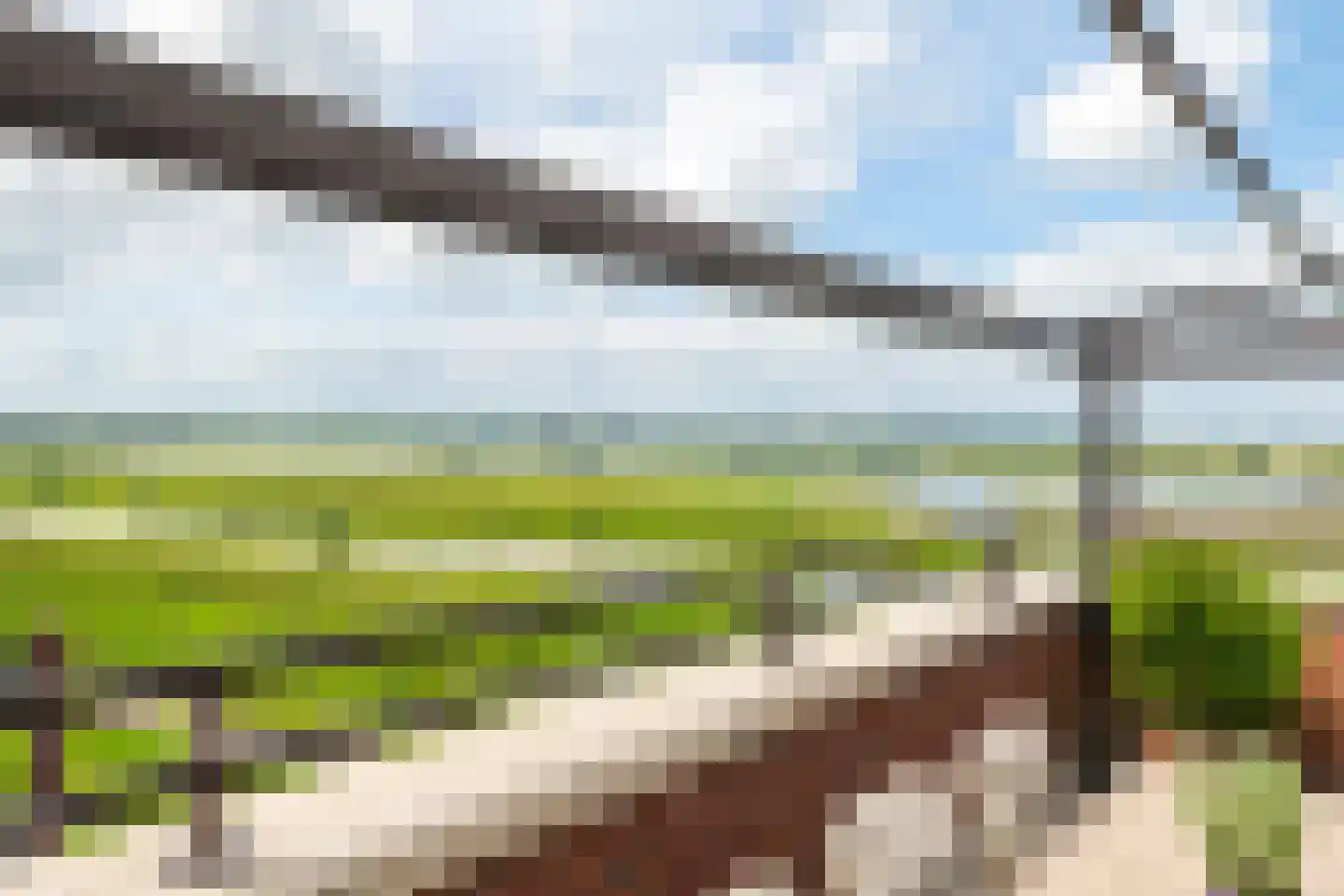 Horst 132 Druten thumbnail 12