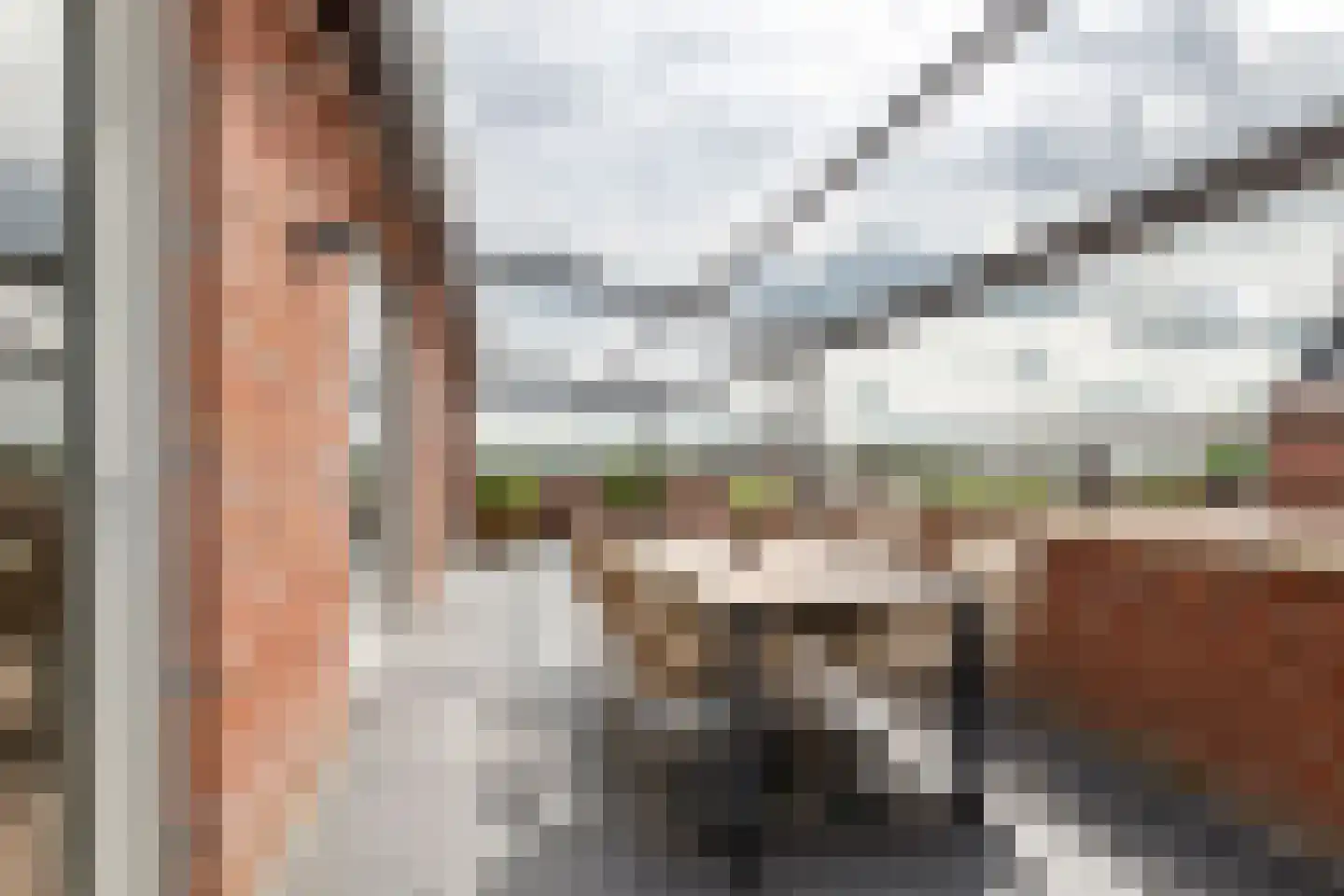 Horst 132 Druten thumbnail 14