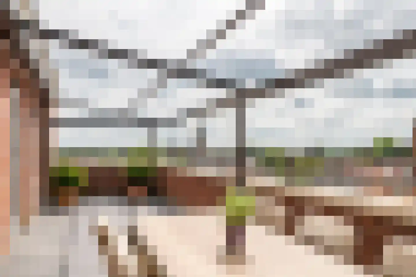 Horst 132 Druten thumbnail 15