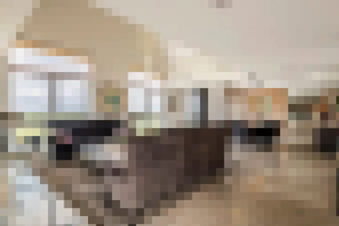 Horst 132 Druten thumbnail 16