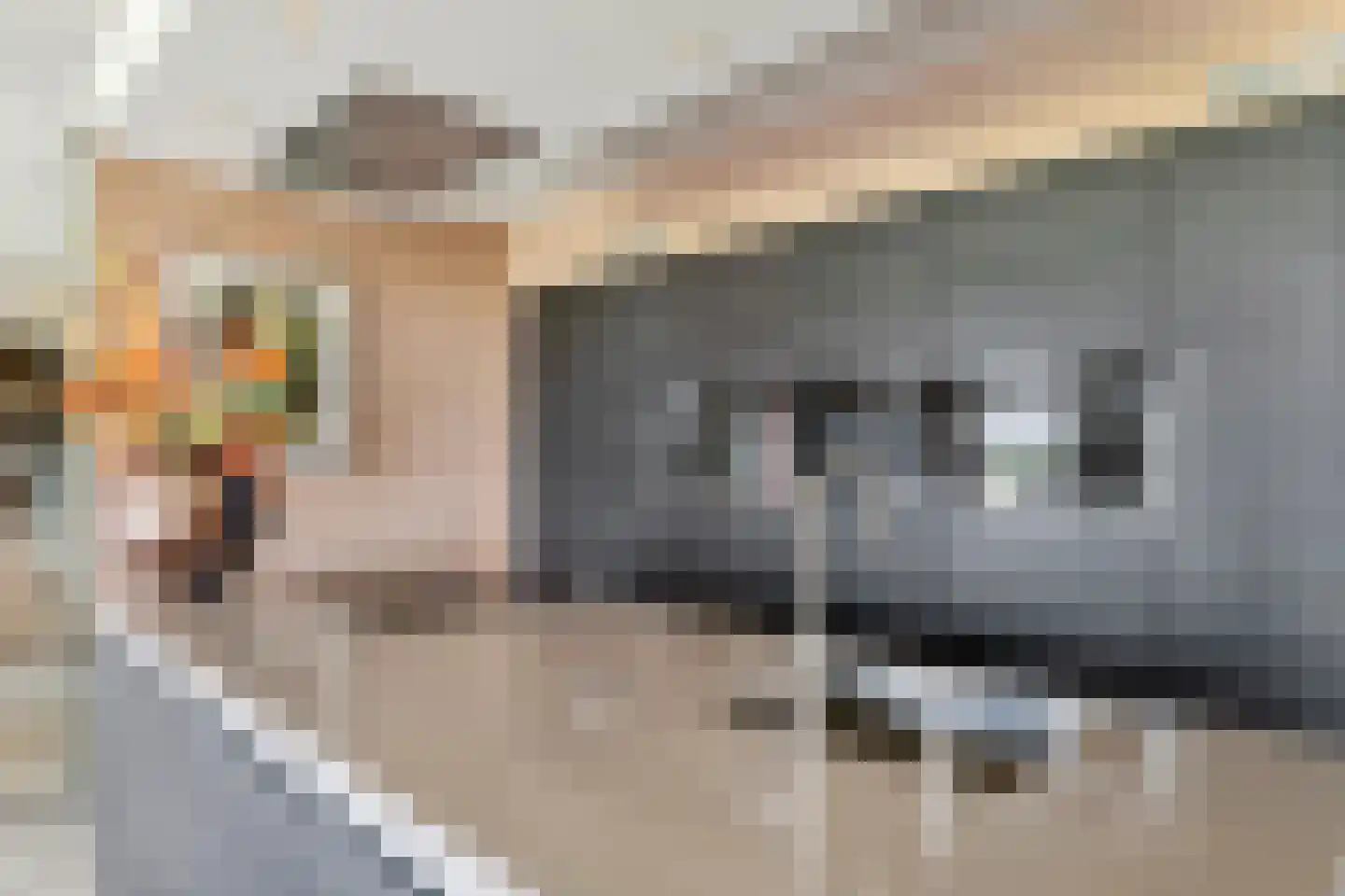 Horst 132 Druten thumbnail 19