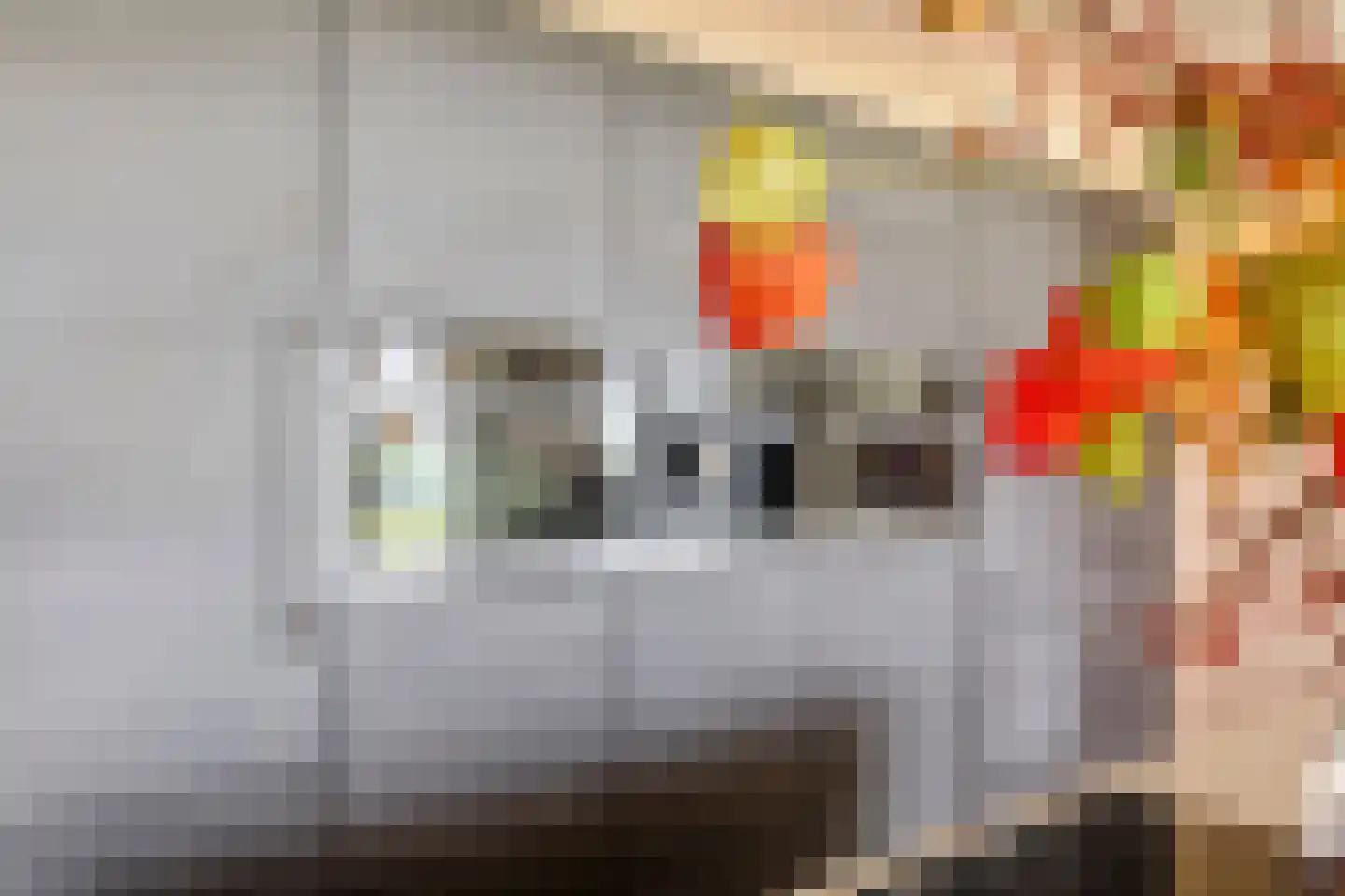 Horst 132 Druten thumbnail 22
