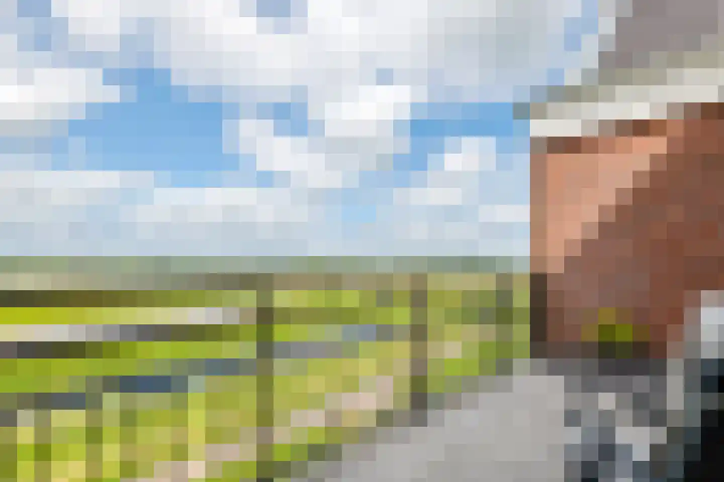 Horst 132 Druten thumbnail 27