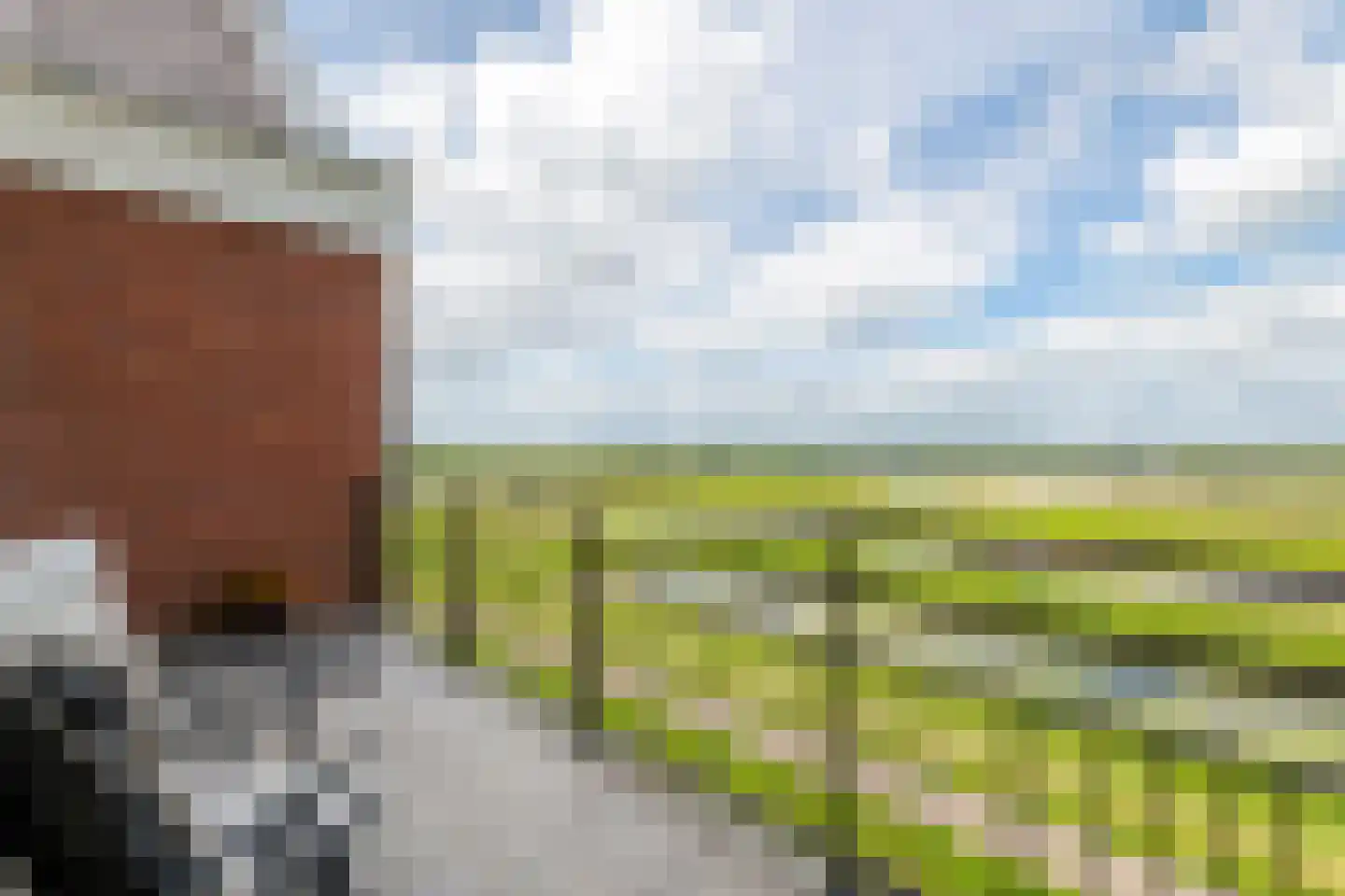 Horst 132 Druten thumbnail 28