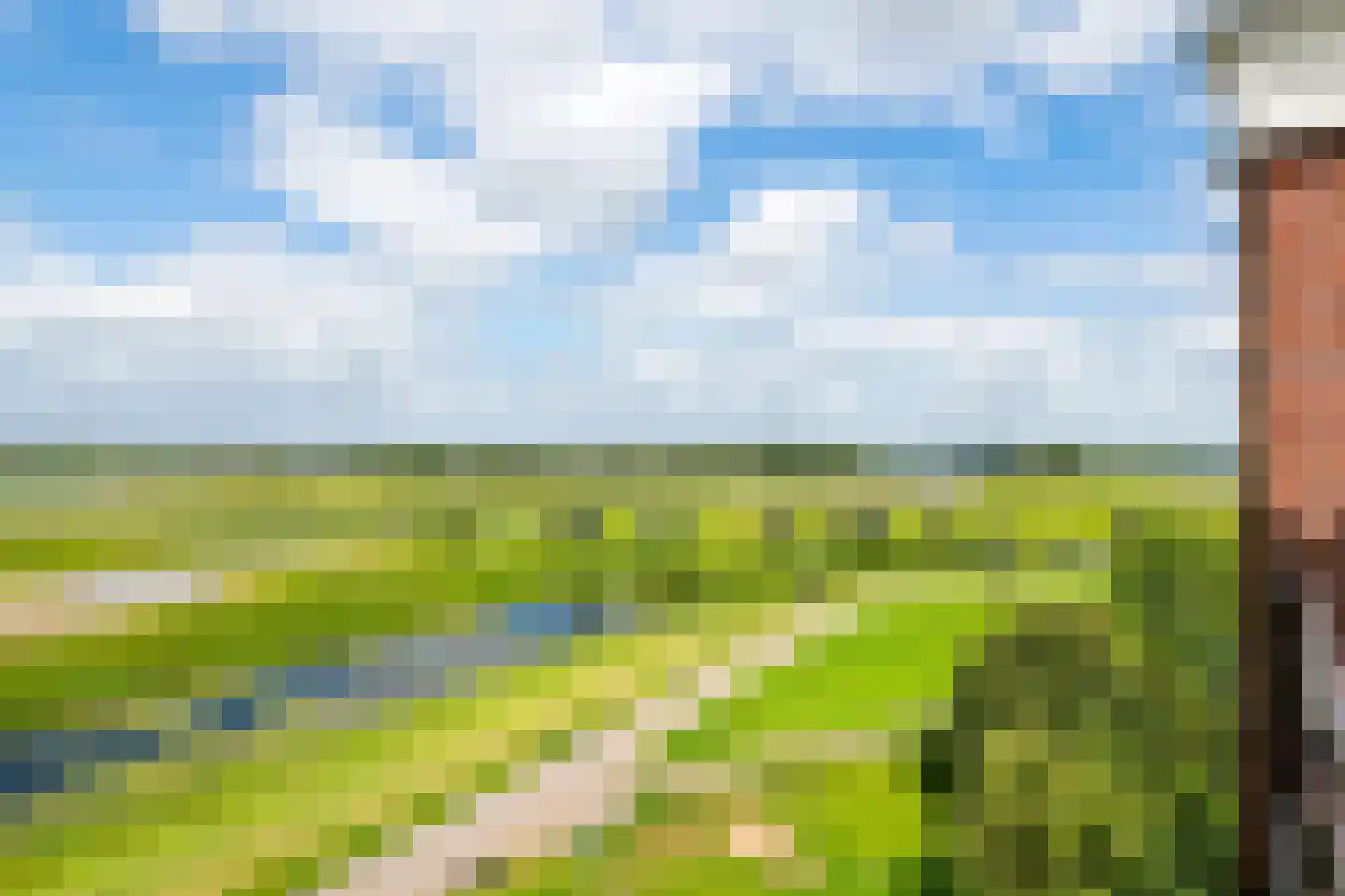 Horst 132 Druten thumbnail 29