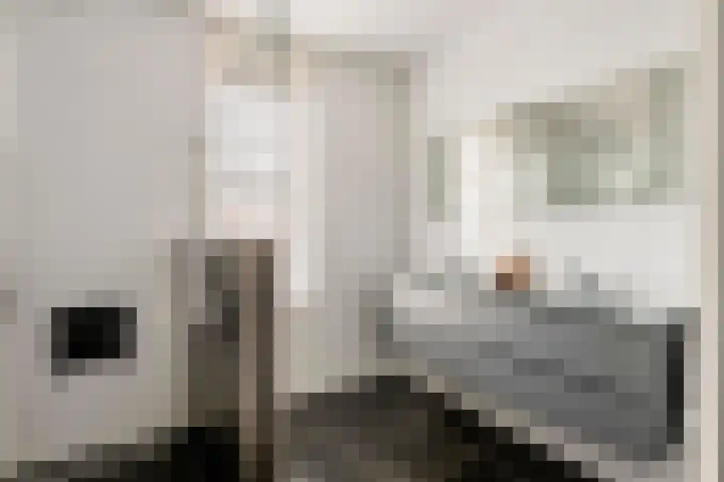 Horst 132 Druten thumbnail 36
