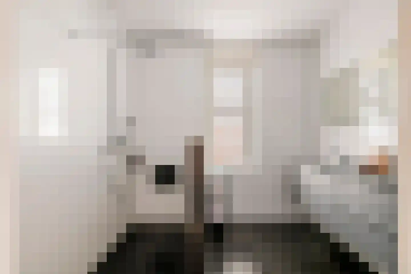 Horst 132 Druten thumbnail 37