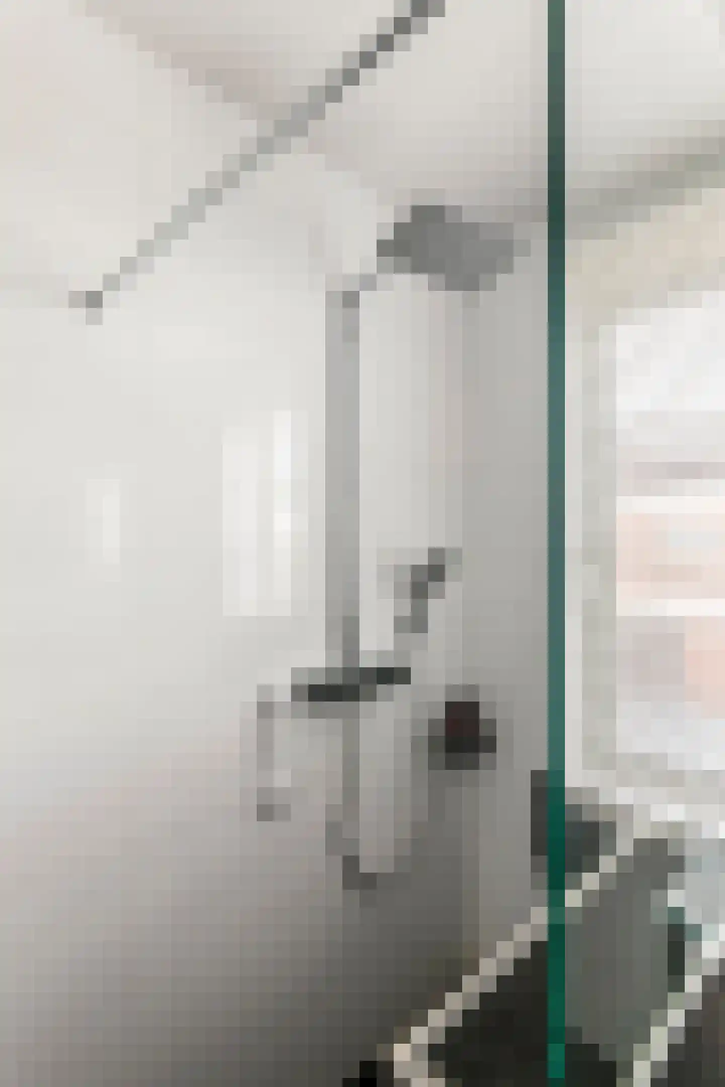 Horst 132 Druten thumbnail 39