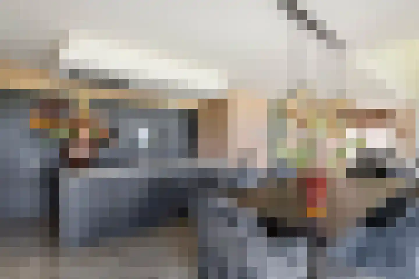 Horst 132 Druten thumbnail 4
