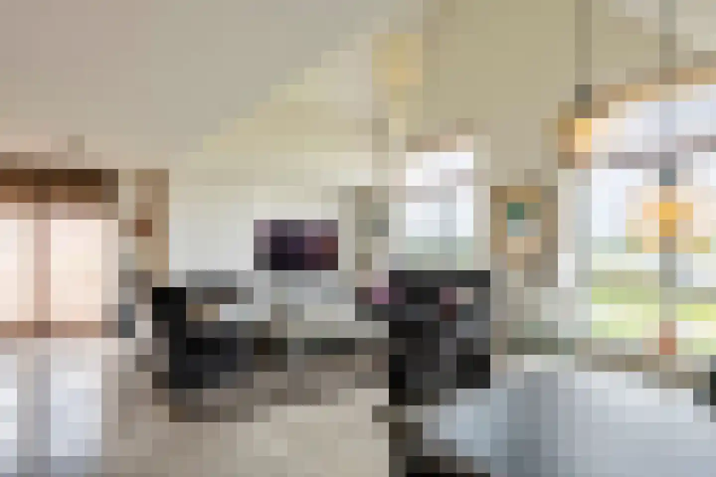 Horst 132 Druten thumbnail 5