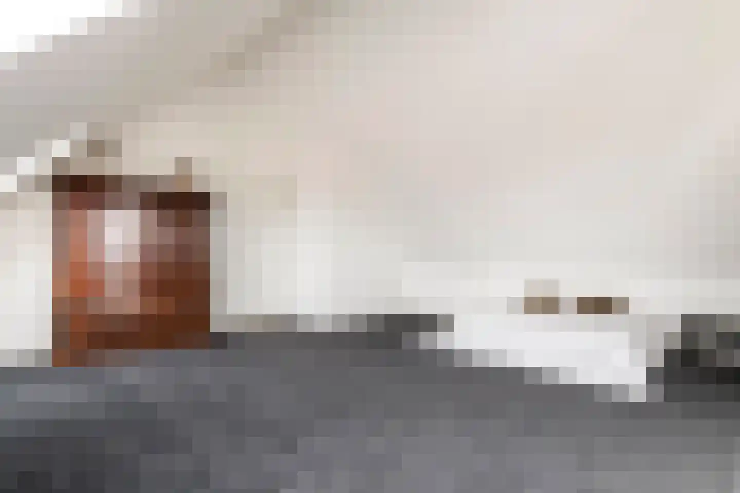 Horst 132 Druten thumbnail 51