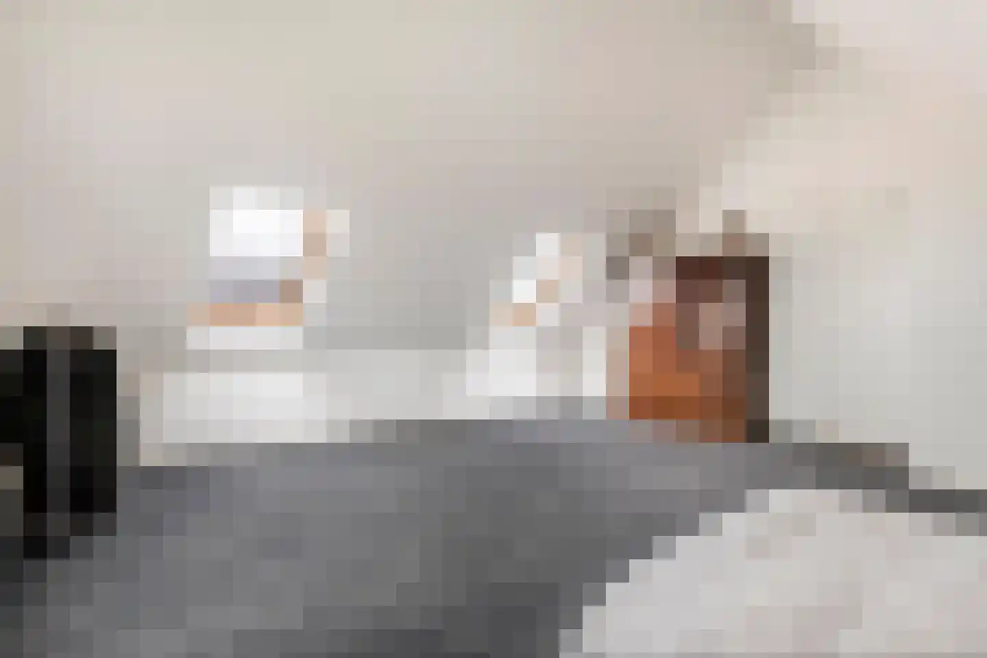 Horst 132 Druten thumbnail 52