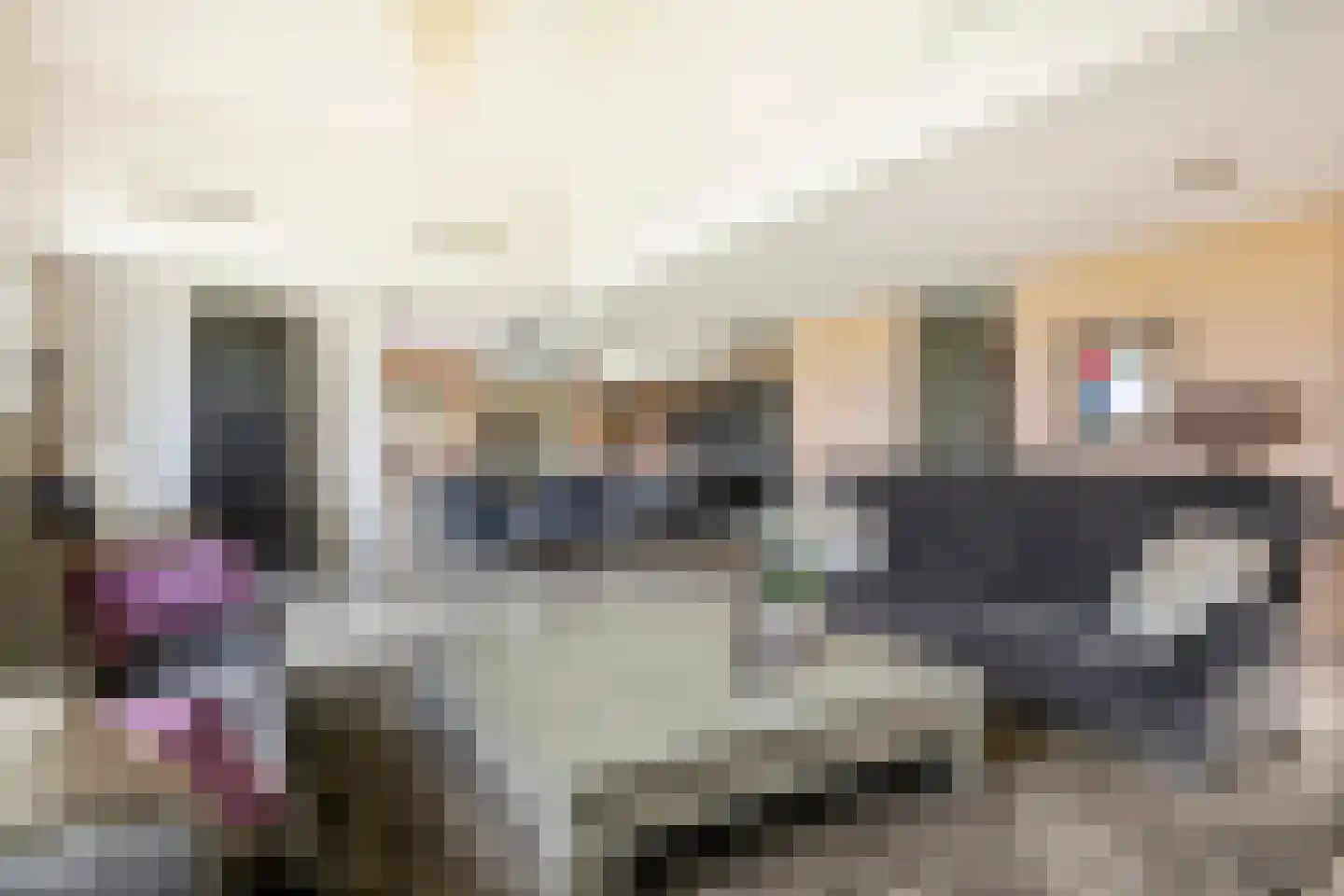Horst 132 Druten thumbnail 6