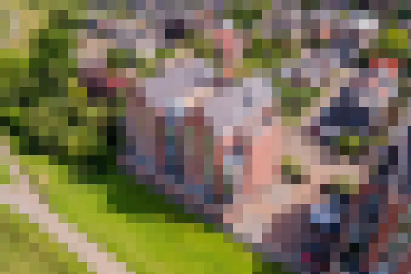 Horst 132 Druten thumbnail 67
