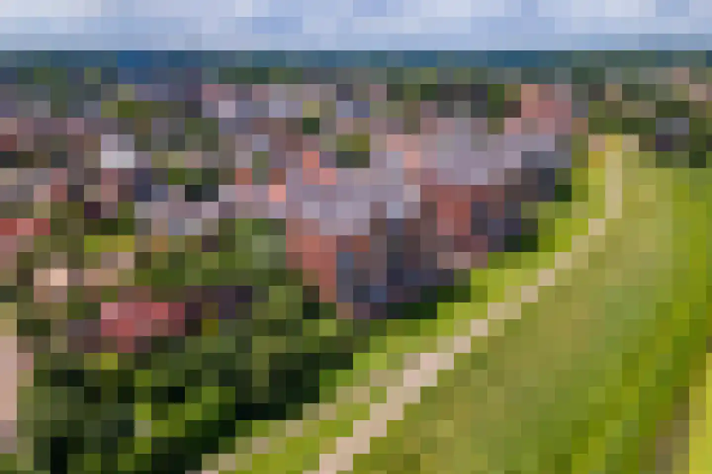 Horst 132 Druten thumbnail 68