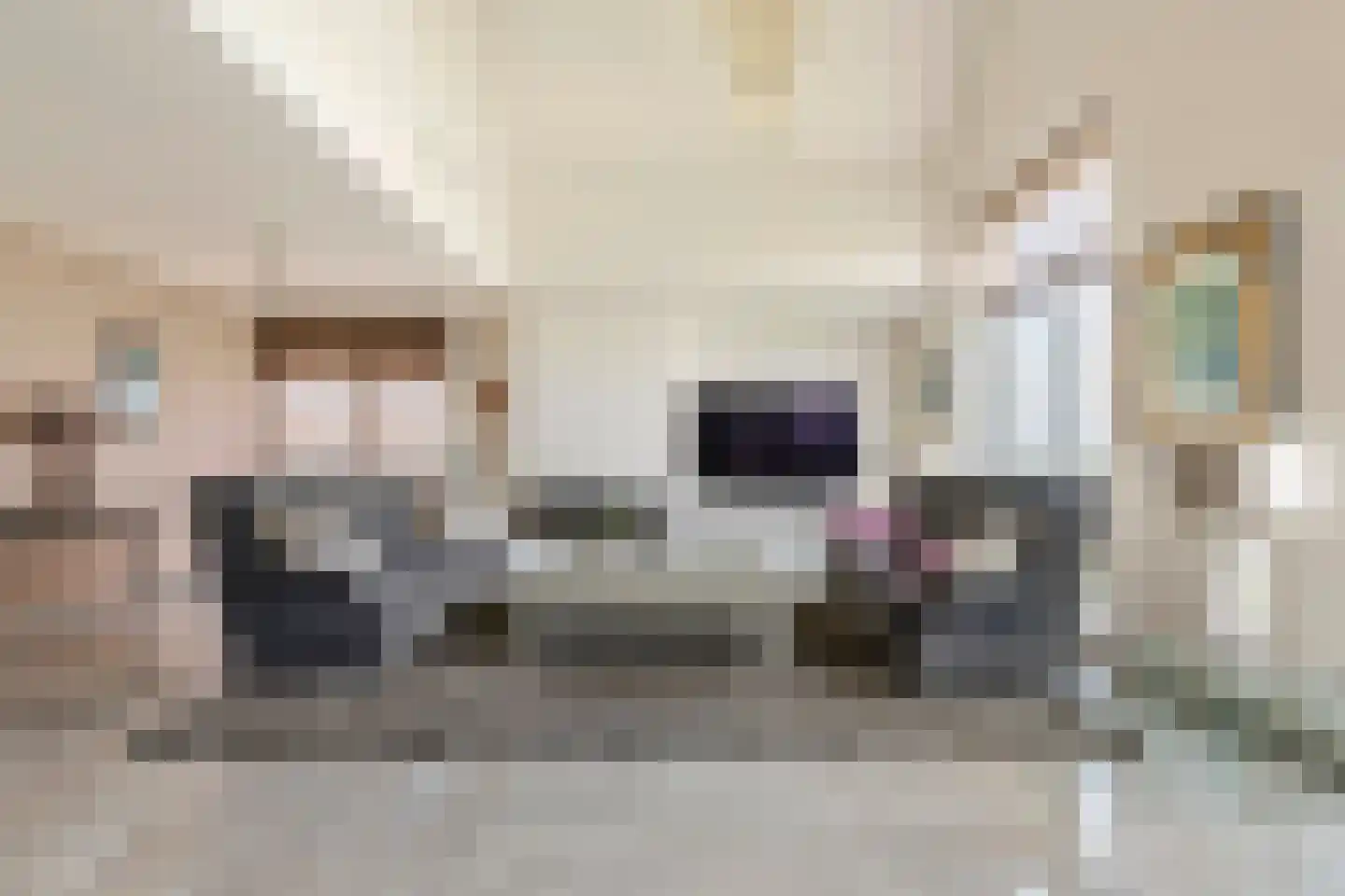 Horst 132 Druten thumbnail 7