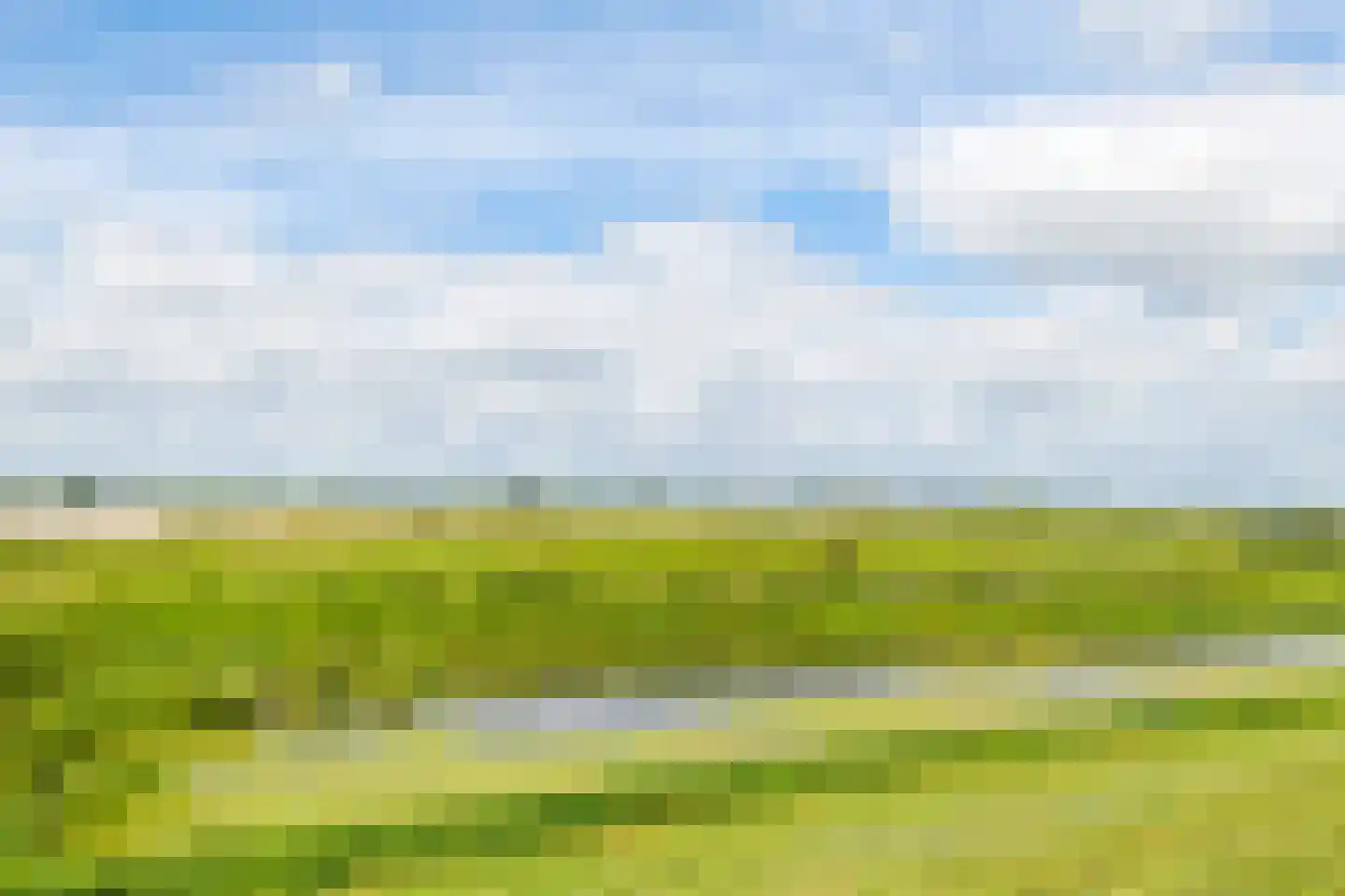 Horst 132 Druten thumbnail 73