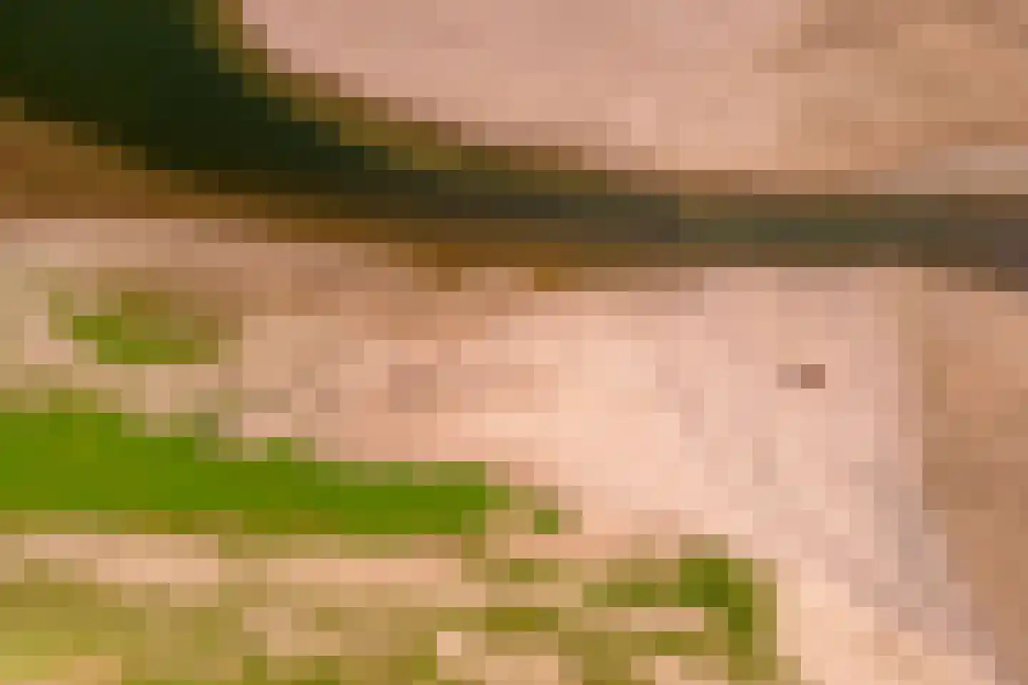 Horst 132 Druten thumbnail 74