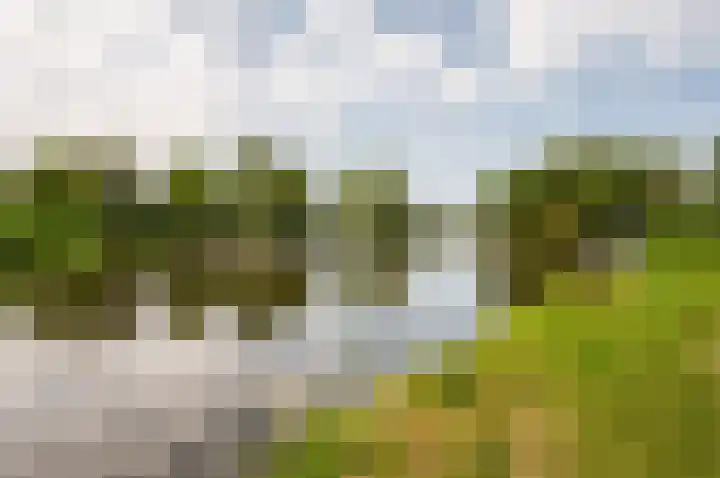 Horst 14 14 27 Lelystad thumbnail 9