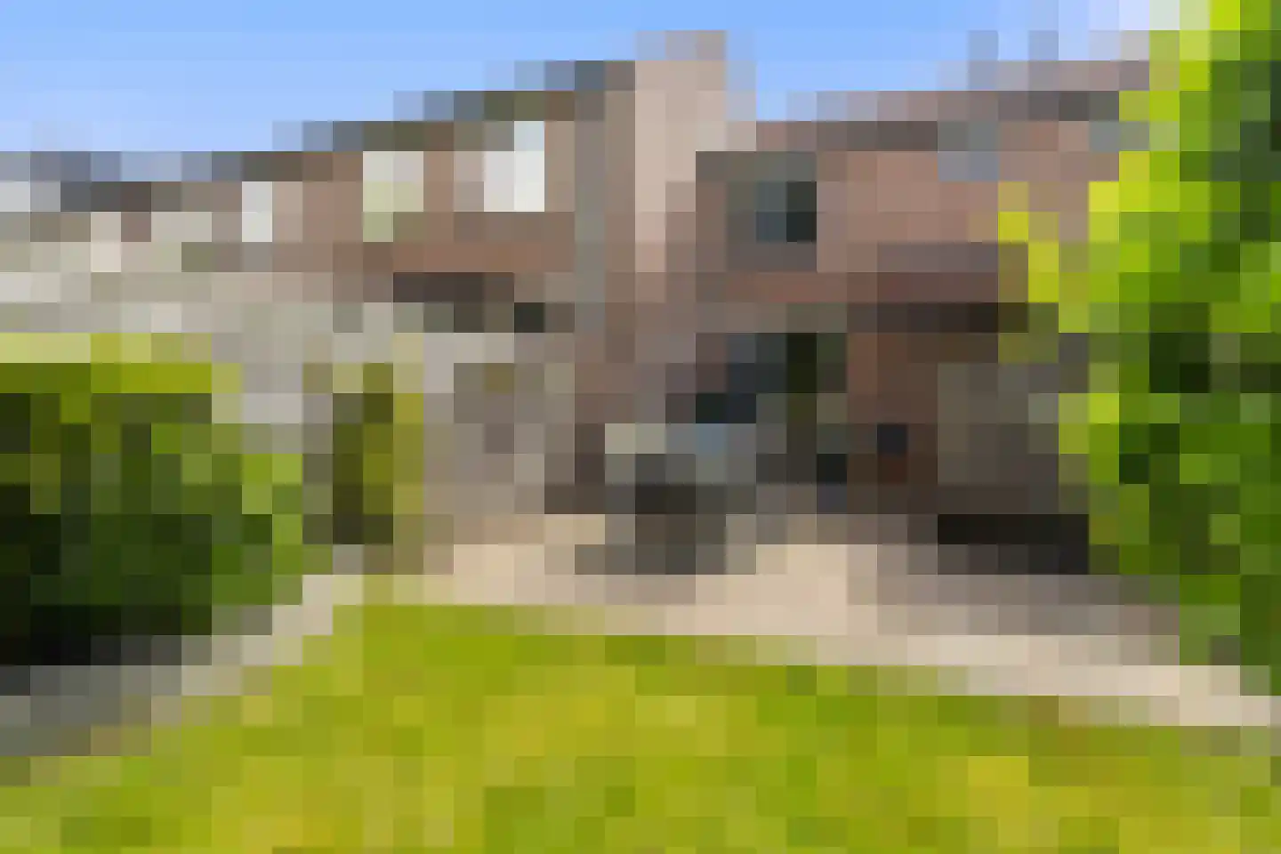 Horst 14 22 Lelystad thumbnail 22