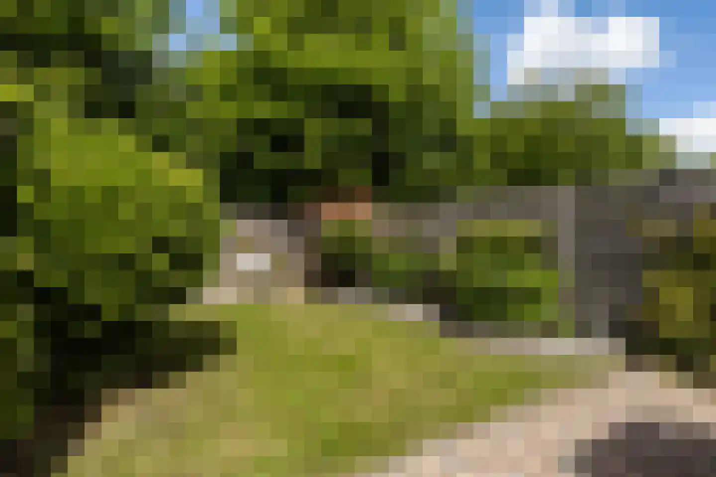 Horst 14 22 Lelystad thumbnail 25