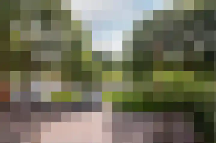 Horst 14 27 Lelystad thumbnail 26