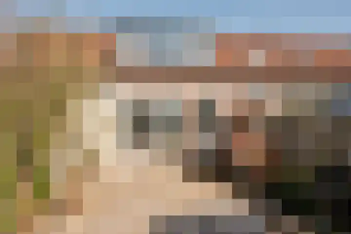 Horst 15 15 52 Lelystad thumbnail 35