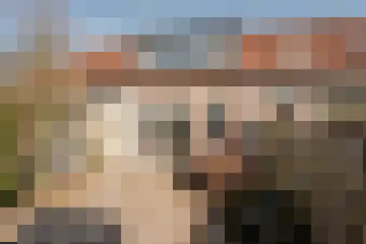 Horst 15 15 52 Lelystad thumbnail 36