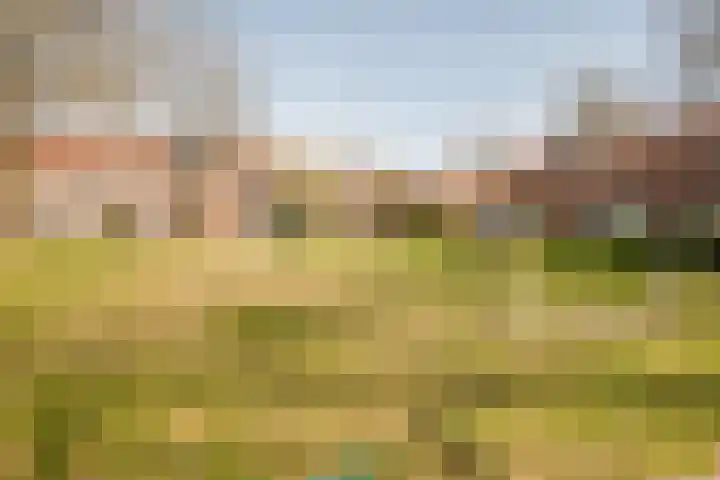 Horst 15 15 52 Lelystad thumbnail 38