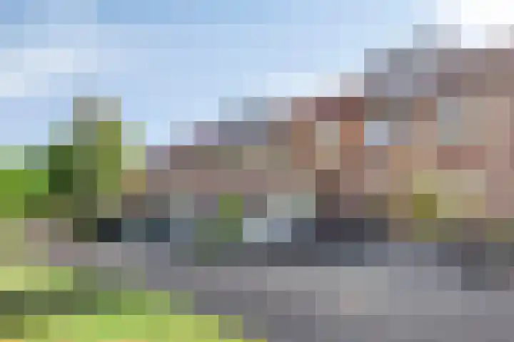 Horst 15 4 Lelystad thumbnail 30