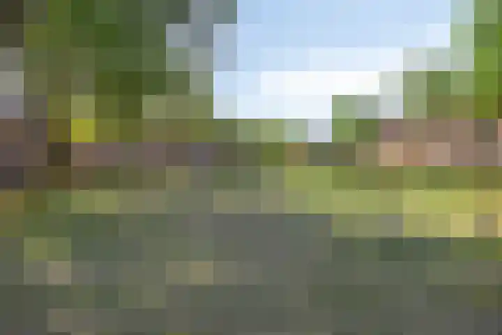 Horst 15 4 Lelystad thumbnail 32